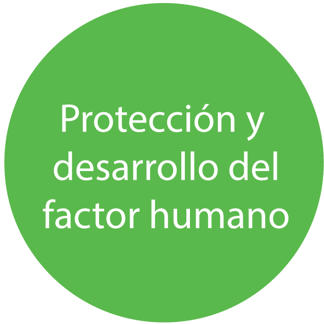 circulos 2-01 protección y desarrollo del factor humano en servicio corporativo