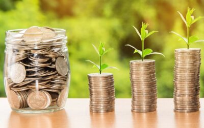 ¿Cómo influye el manejo del dinero en la convivencia de pareja?